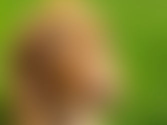 Er din hund en av Årets hunder 2022?