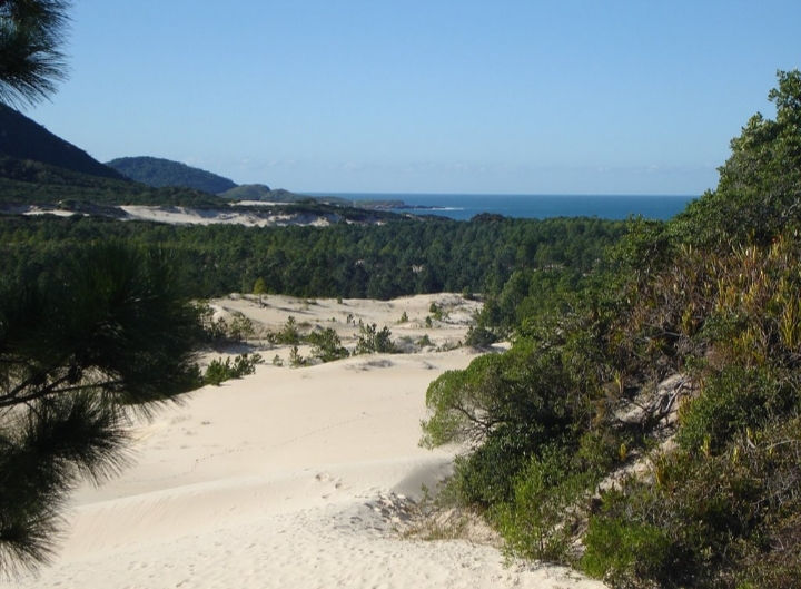Trilha - Ecoturismo