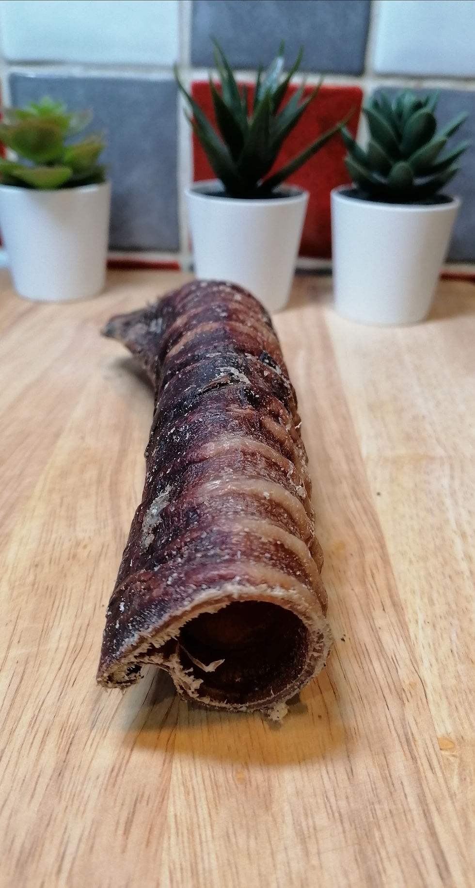 beef trachea