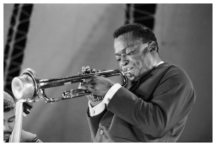 what is a trumpet bubble wa wa harmon mute