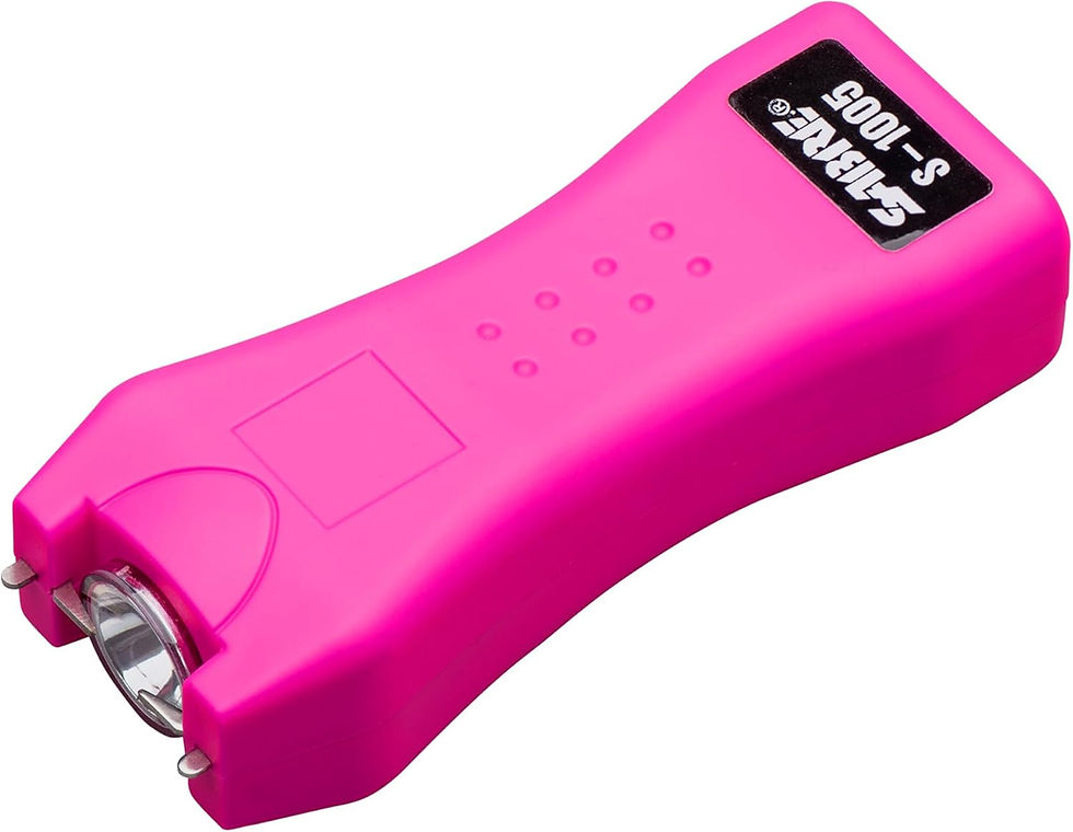stun gun taser