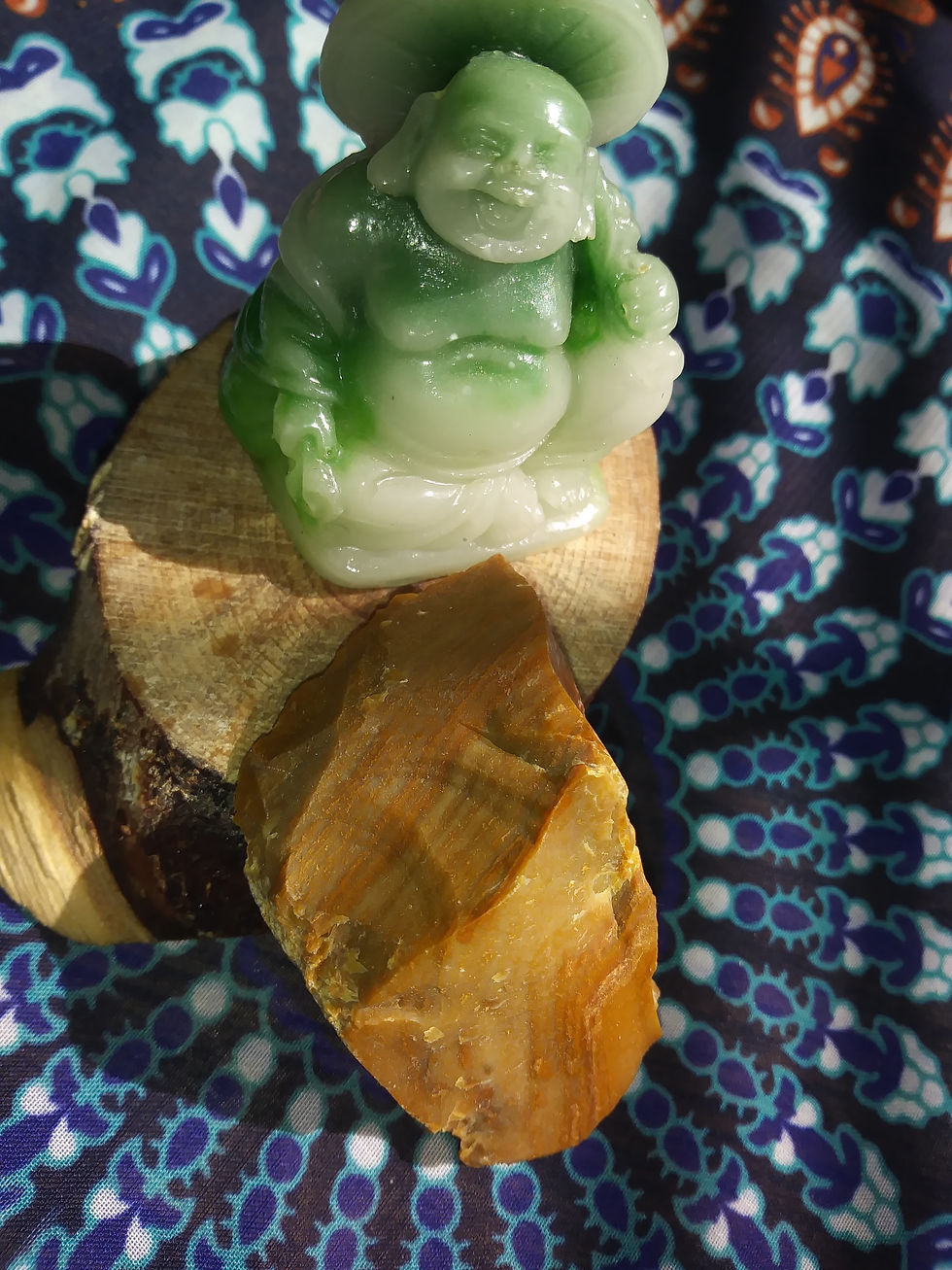 Thumbnail: Petrified Wood