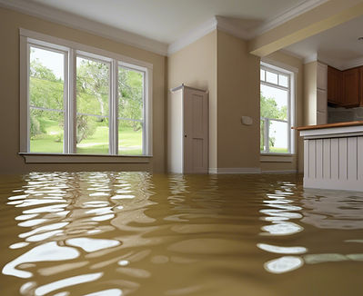 flooded house interior.jpg
