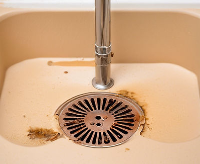 Clogged shower drain.jpg