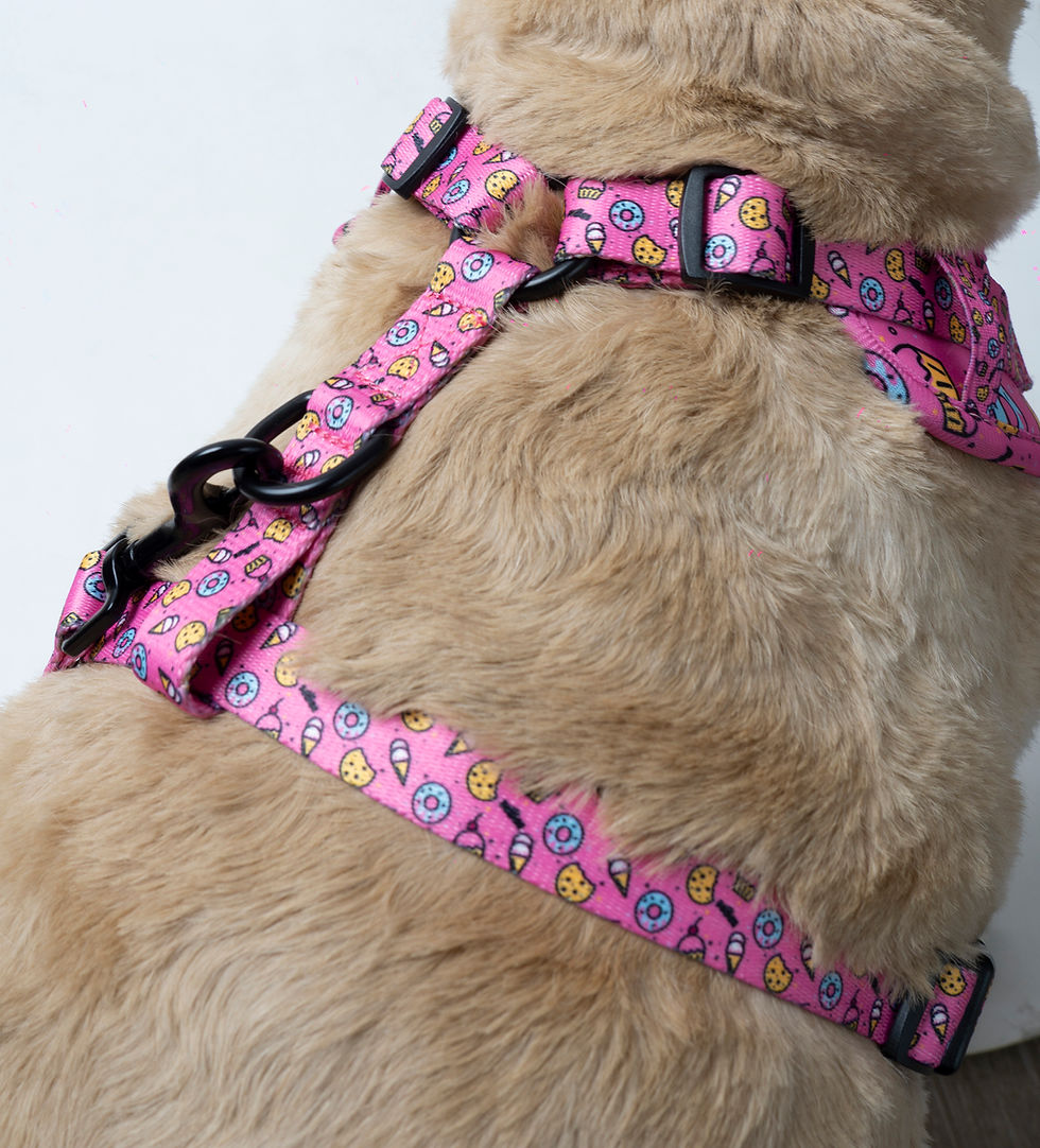 Miniatura: PECHERA CANDY