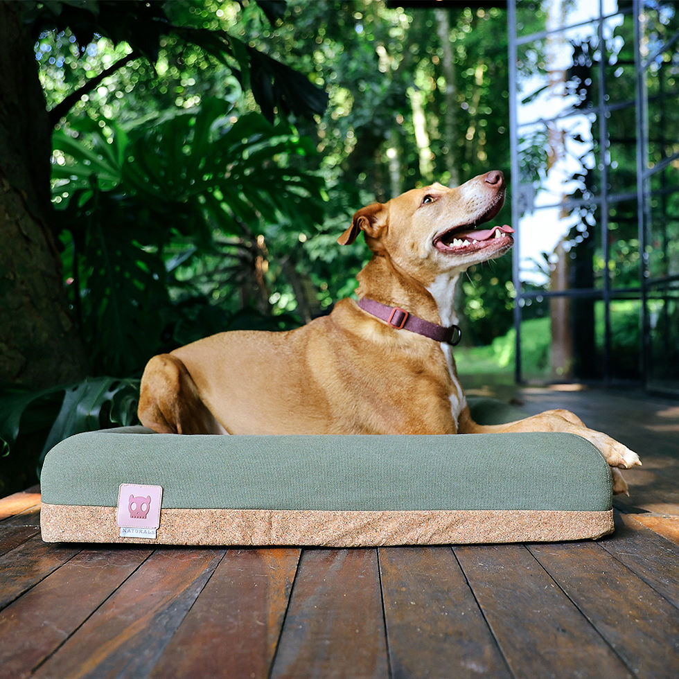 Miniatura: Cama Zeedog Naturals 2.0