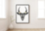 Antilope en cadre