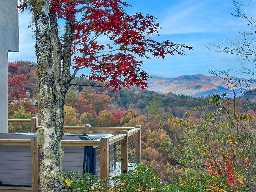 Dragonfly - hot tub view.jpg