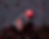 Thumbnail: Sangria Noir