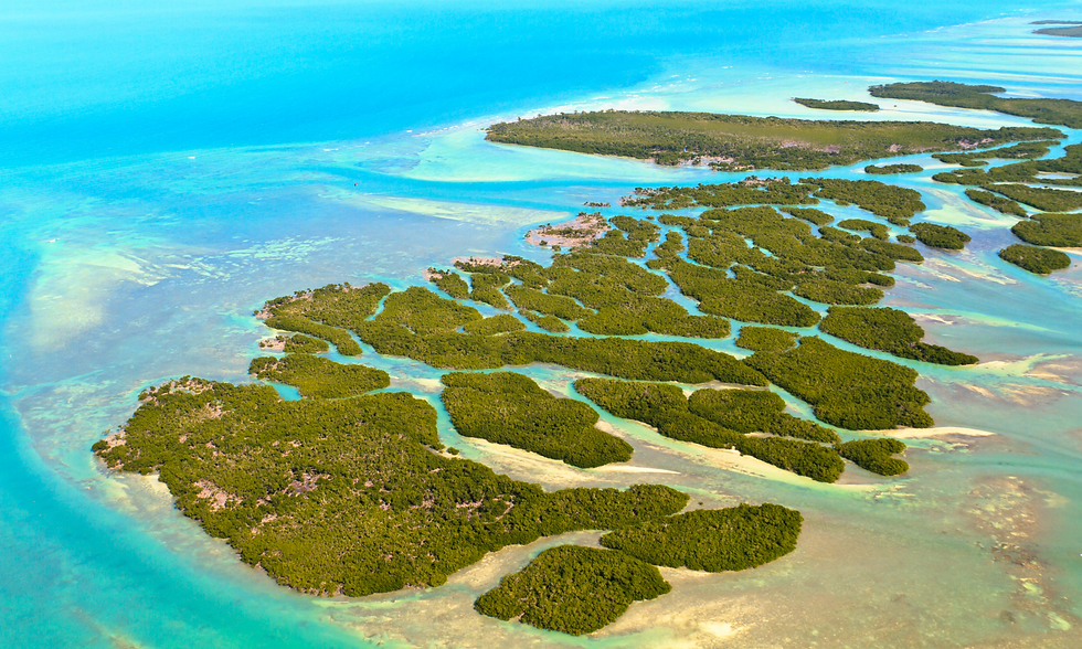 Things to do in Marathon Florida