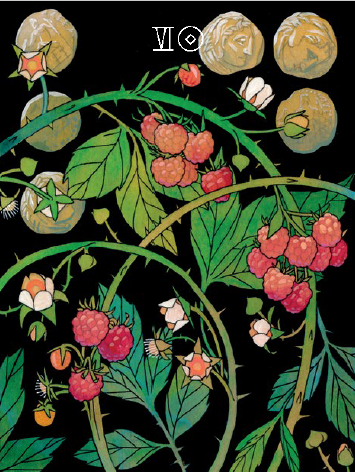 Amongst a raspberry bush there are six drachma (ancient Greek coins).