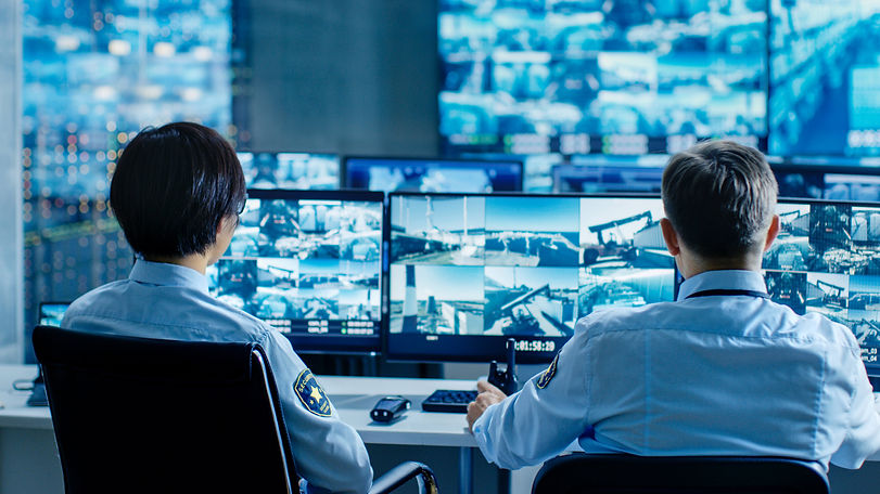 IP camera monitoring.jpeg