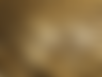The Unseen Potential: Is Now the Time to Add Gold to Your Investment Portfolio?