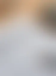 Exploring the Option: Can You Rollover Your 401k/IRA to an Annuity?