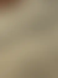 Unveiling the Ultimate Paycheck Withholding Cheat Sheet – Say Hello to Clarity and Confidence!