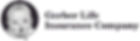 Gerber_logo