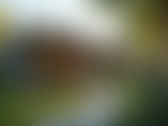 Top Features of State-Approved ADU Units Explained