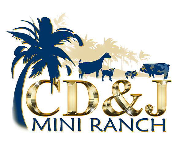 CDJ-MINI-RANCH-LOGO-DESIGN3 (1).jpg