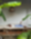website pic (18).png
