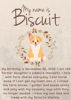 Sign introducing Biscuit at Harvest Place Farm