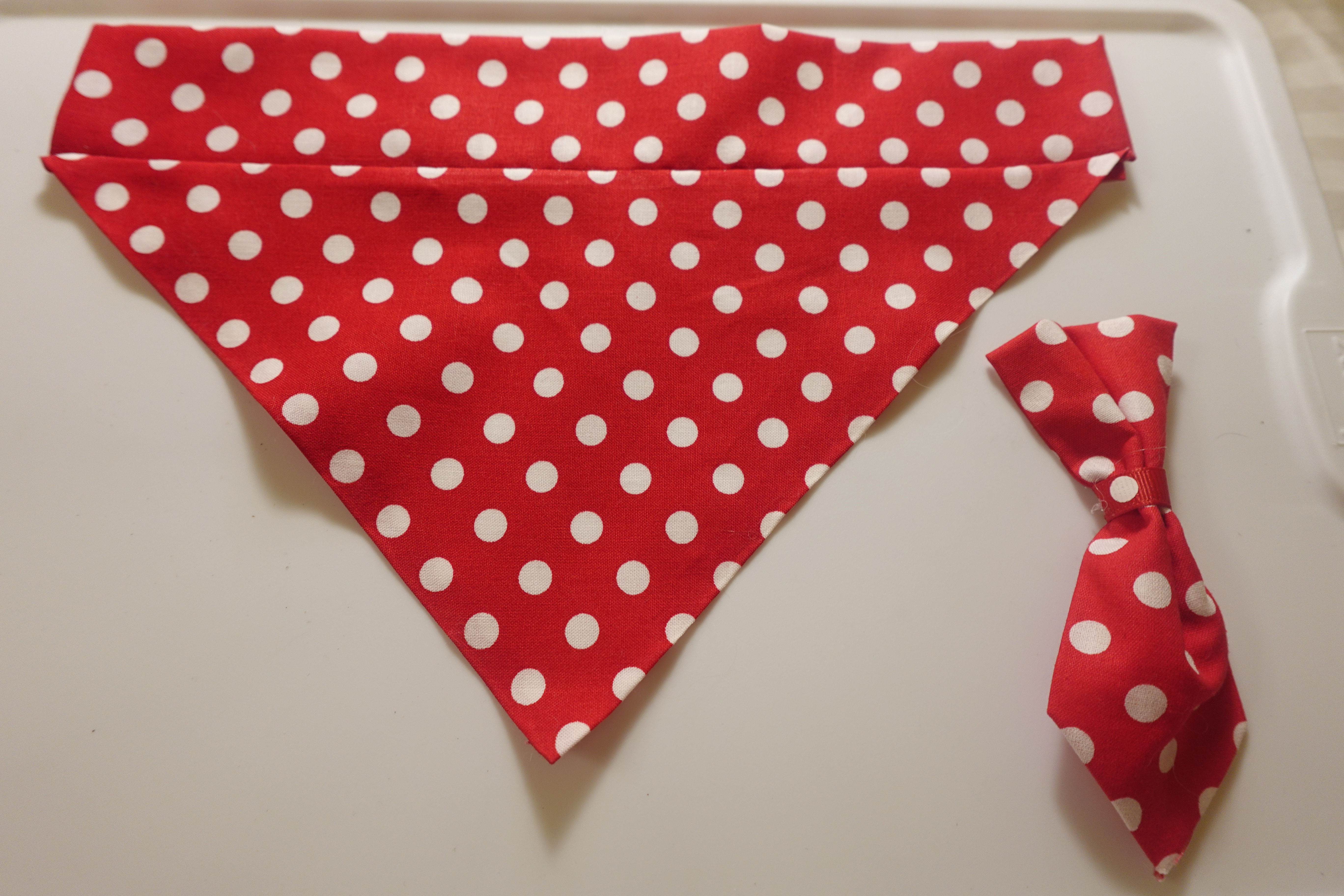 2 Piece Set Red Polka Dot  Neck Tie  Bandana