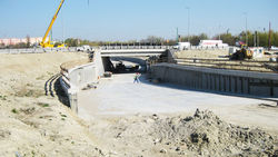 Növény utcai támfal