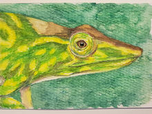#47 Tarzan Chameleon