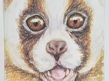 #90 Javan Slow Loris