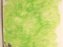 #120 Mark's Bush Frog