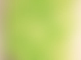#120 Mark's Bush Frog