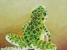 #23 Amami Oshima Frog