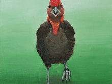 #41 Waigeo Brush-turkey