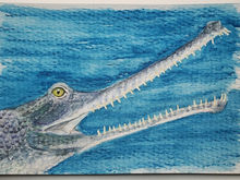 #117 Gharial