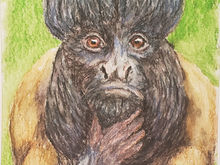 #35 Black Bearded Saki