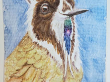 #64 Blue-bearded Helmcrest