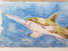 #49 Green Sawfish