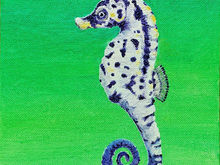#16 Knysna Seahorse