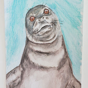 #26 Caribbean Monk Seal