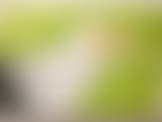 #136 Black-winged Starling