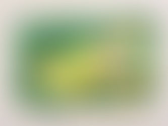 #20 Lemur Leaf Frog