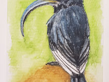#29 Black Mamo