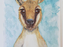 #30 Toolache Wallaby