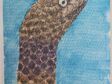 #114 Short-nosed Sea Snake