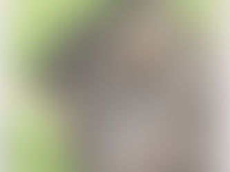 #129 New Caledonian Owlet-nightjar