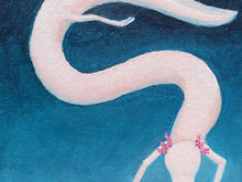 #13 Olm