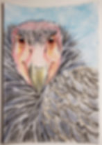 ree