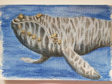 #113 North Atlantic Right Whale