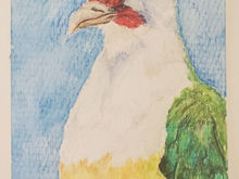 #45 Red-moustached Fruit Dove