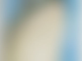 #133 Black Softshell Turtle