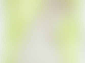 #316 San José Brush Rabbit